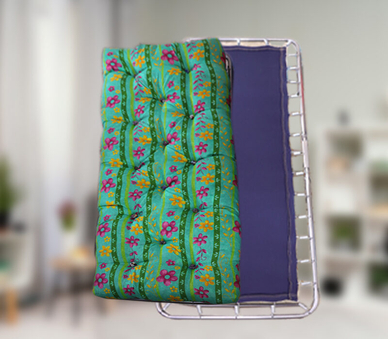 CATRE #8 COLCHON DE BORRA (AGUASCALIENTES)